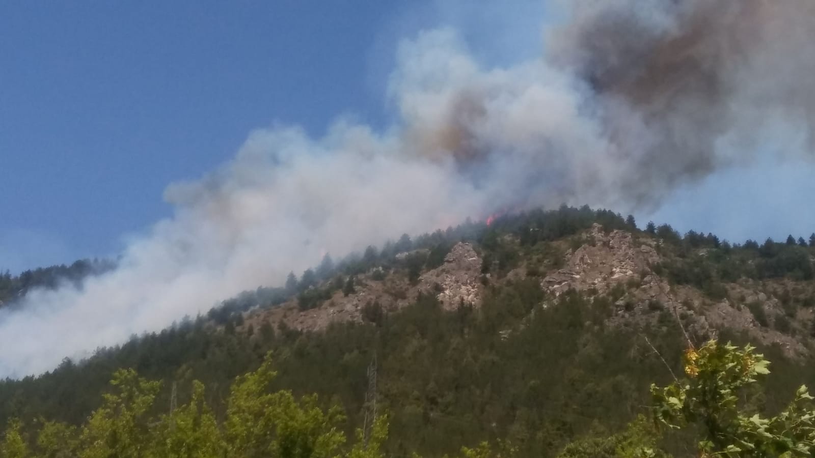 2020 - 07 - 31 . 4 .