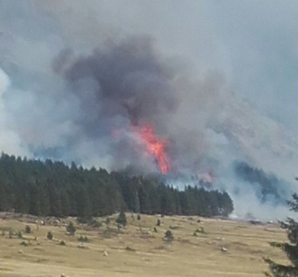 Fonte Vetica incendio 3