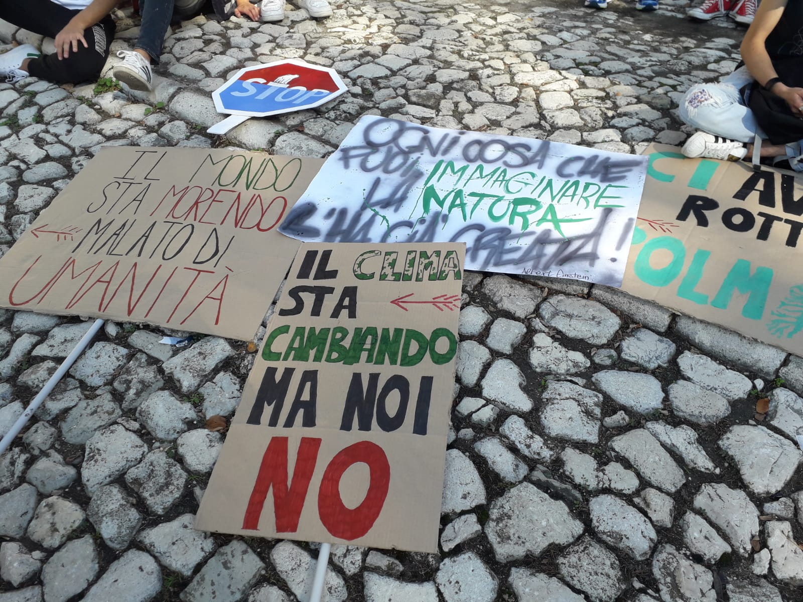 Fridays for Future 3