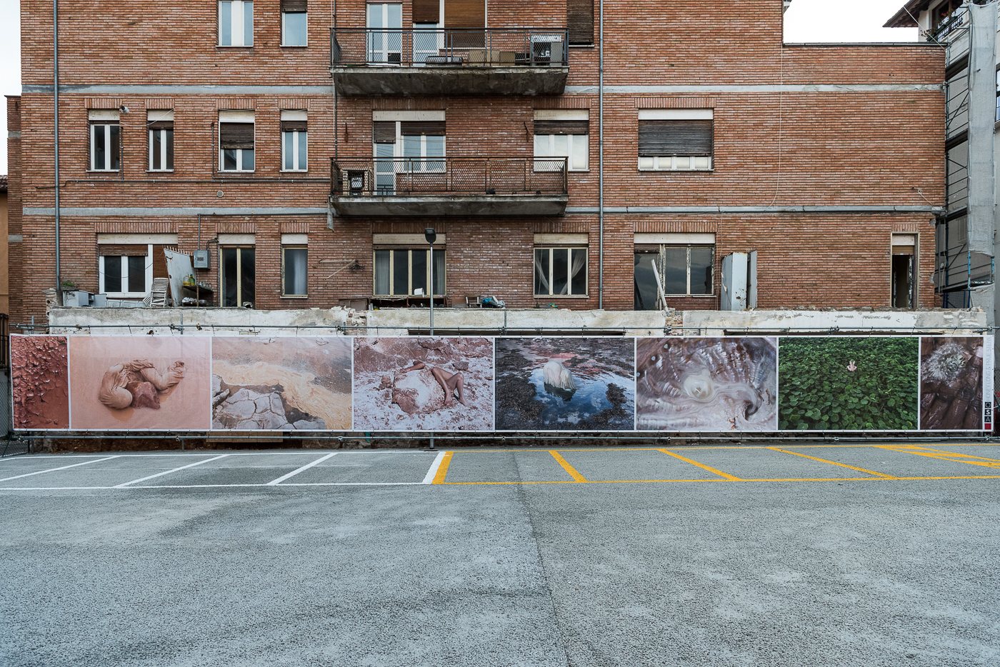 LR Honey Prue ph Filippo Zoccoli -6499