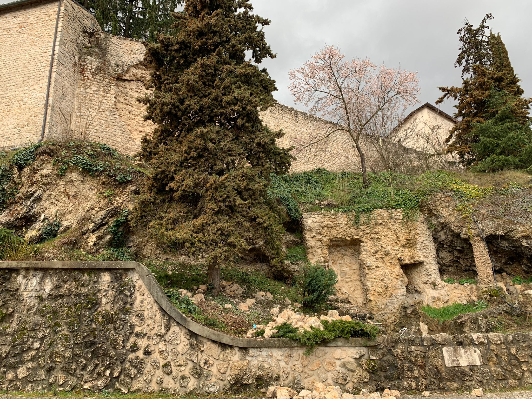 WhatsApp Image 2022-03-31 at 09.56.35